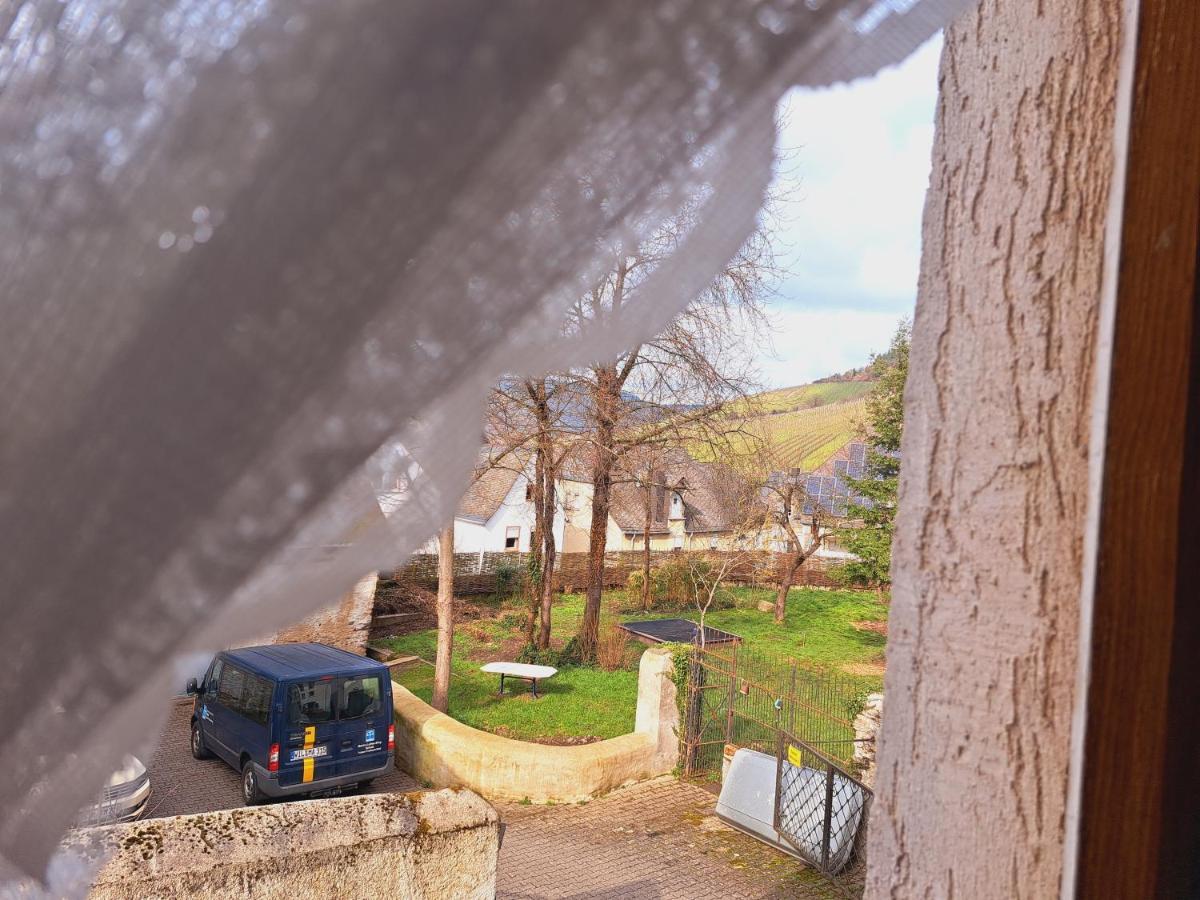 Haus Moselwald - 3 Bedrooms Enkirch Εξωτερικό φωτογραφία